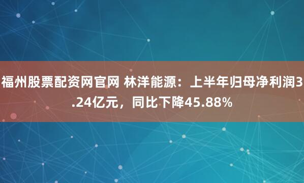 福州股票配资网官网 林洋能源：上半年归母净利润3.24亿元，同比下降45.88%