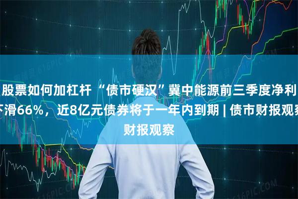 股票如何加杠杆 “债市硬汉”冀中能源前三季度净利下滑66%,近8亿元债券将于一年内到期 | 债市财报观察